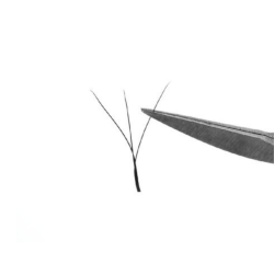 W 3D Vipper - D Kurve